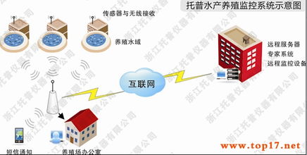 托普农业物联网之托普水产养殖监控系统 智能化水产养殖的物联网应用服务